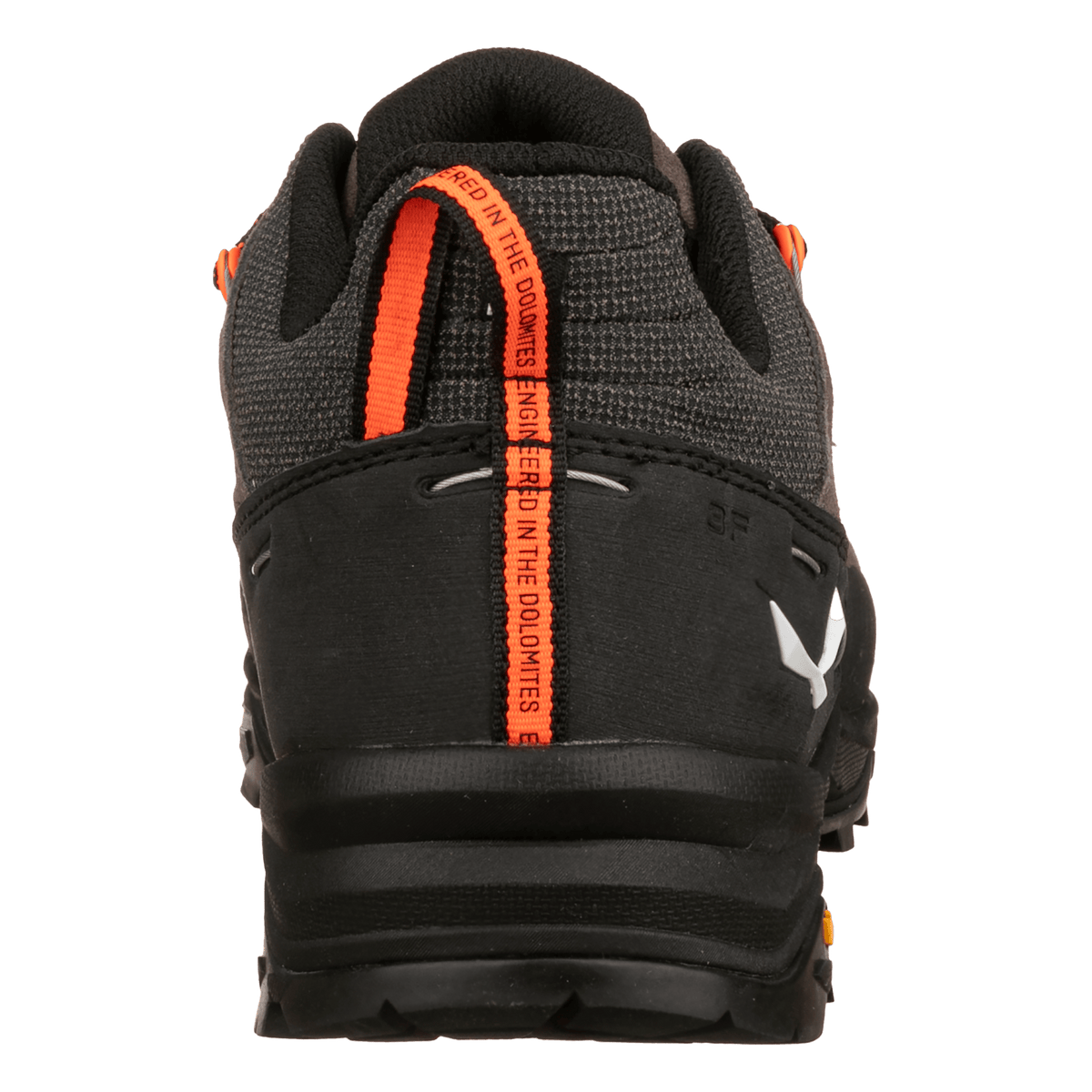 Alp Trainer 2 Shoe Men