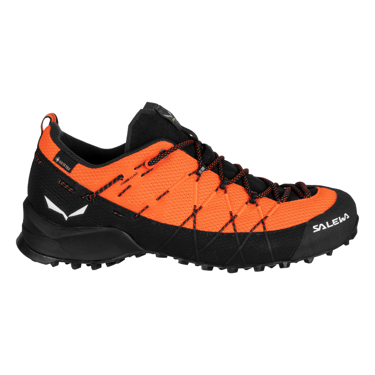 Wildfire 2 Gore-Tex® obuv pre mužov