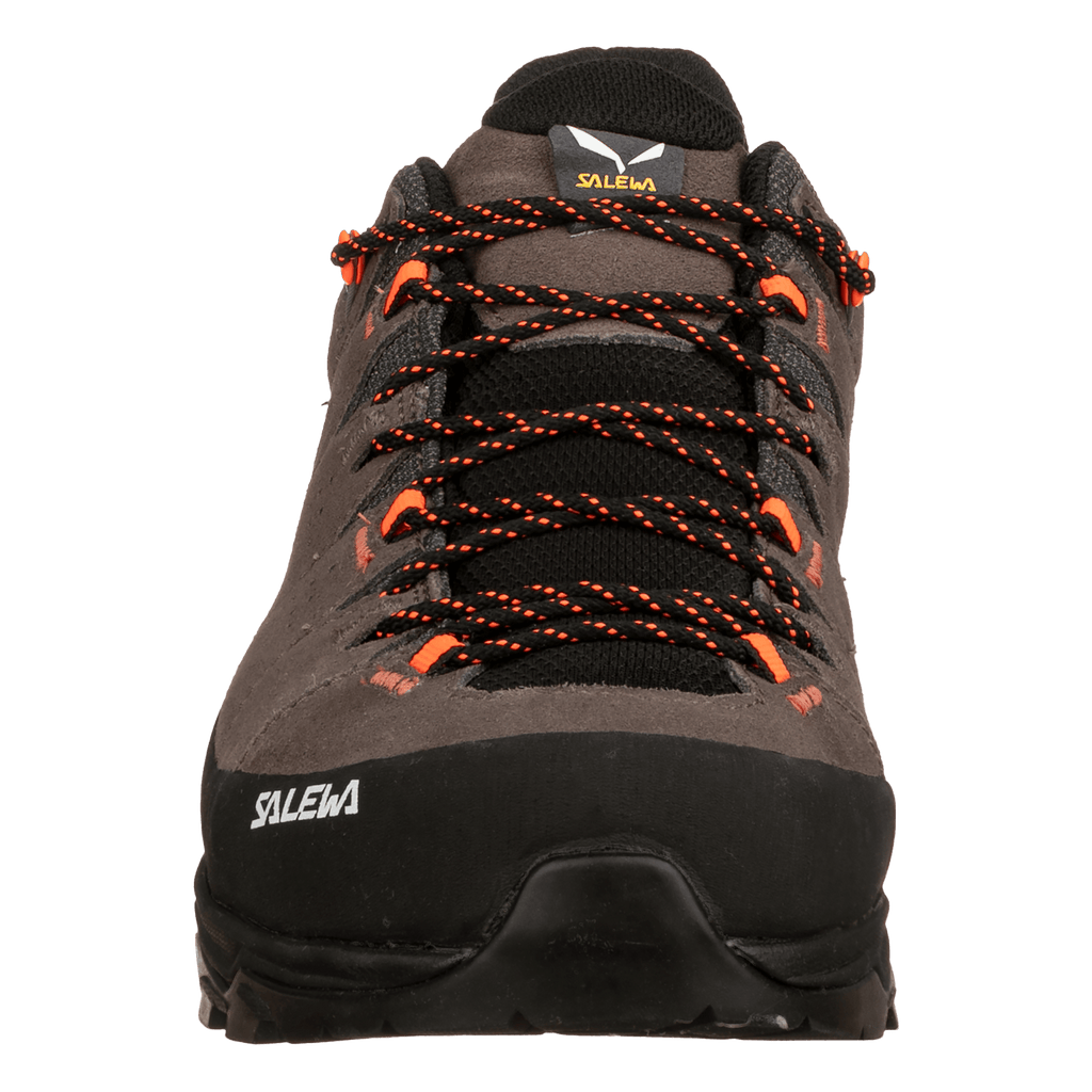 Alp Trainer 2 Shoe Men