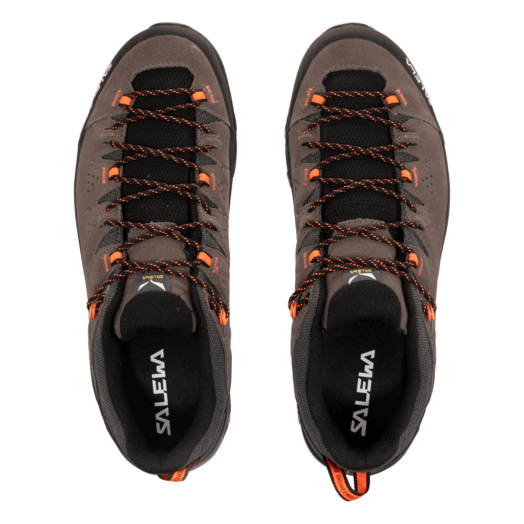Alp Trainer 2 Shoe Men