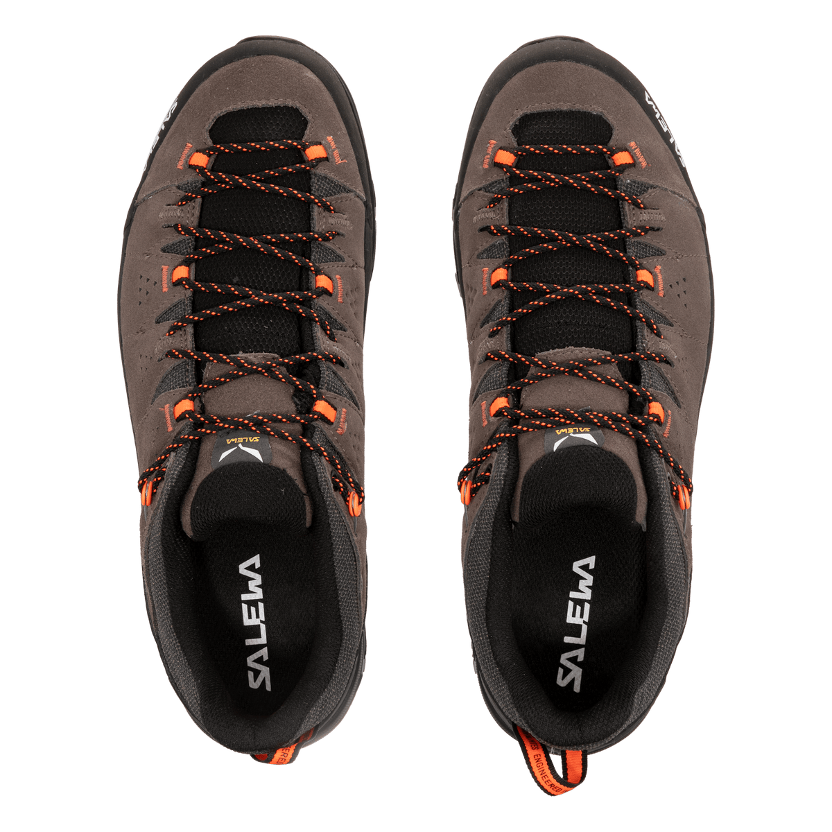 Alp Trainer 2 Shoe Men