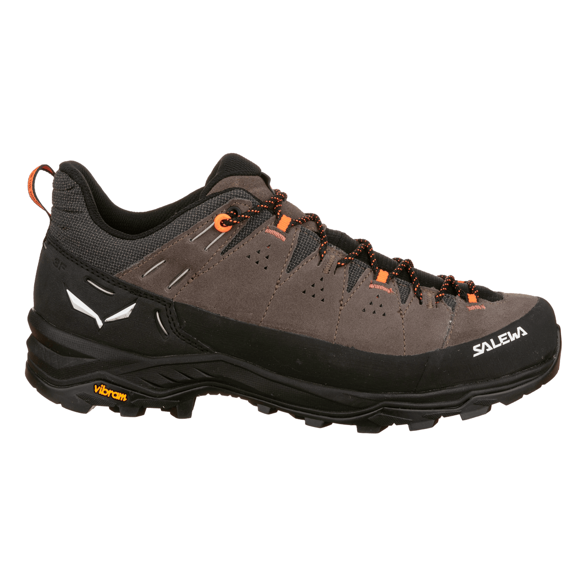 Alp Trainer 2 Shoe Men