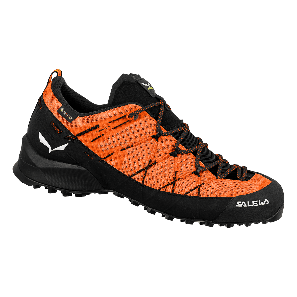 Wildfire 2 Gore-Tex® obuv pre mužov
