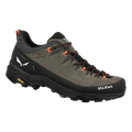 Alp Trainer 2 Shoe Men