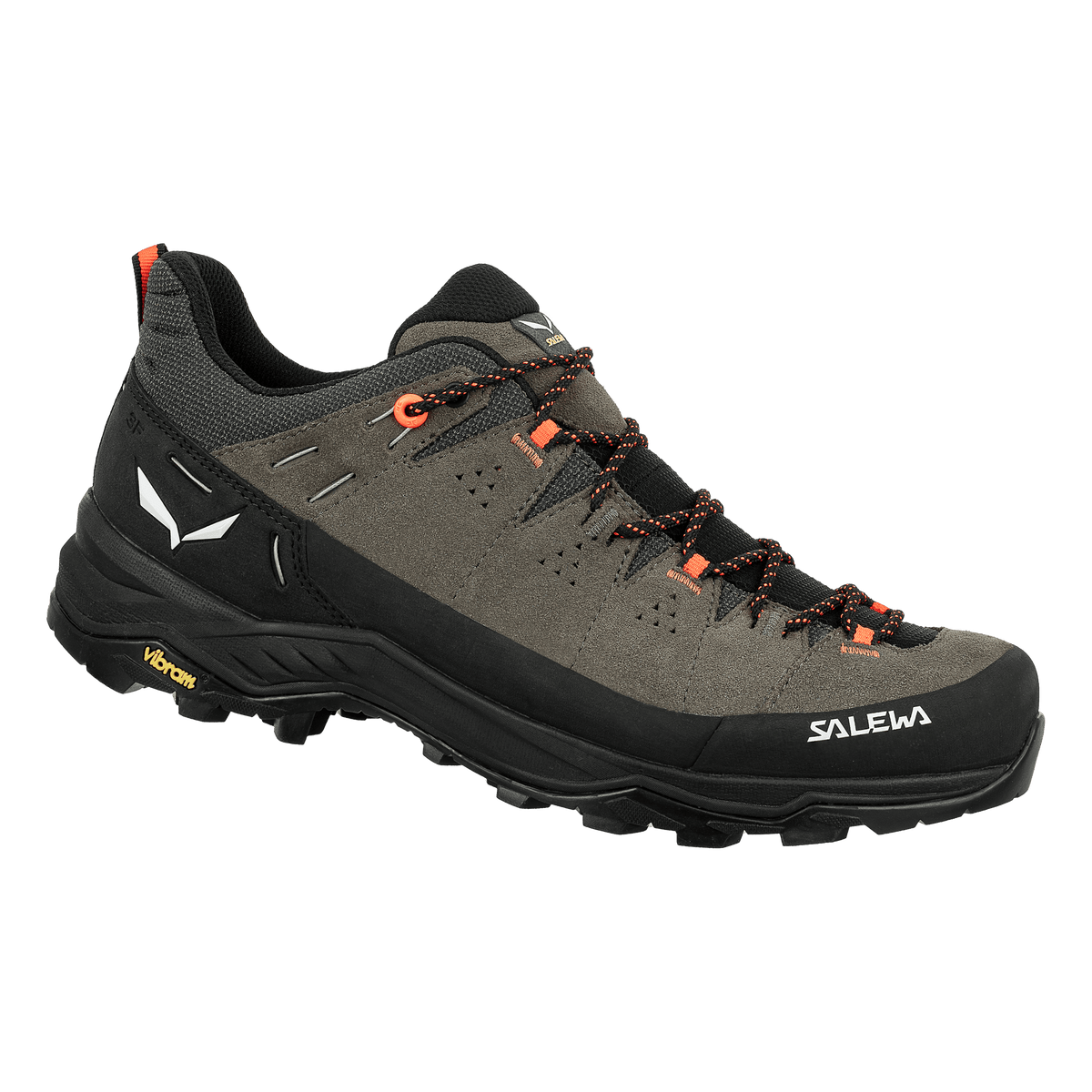 Alp Trainer 2 Shoe Men